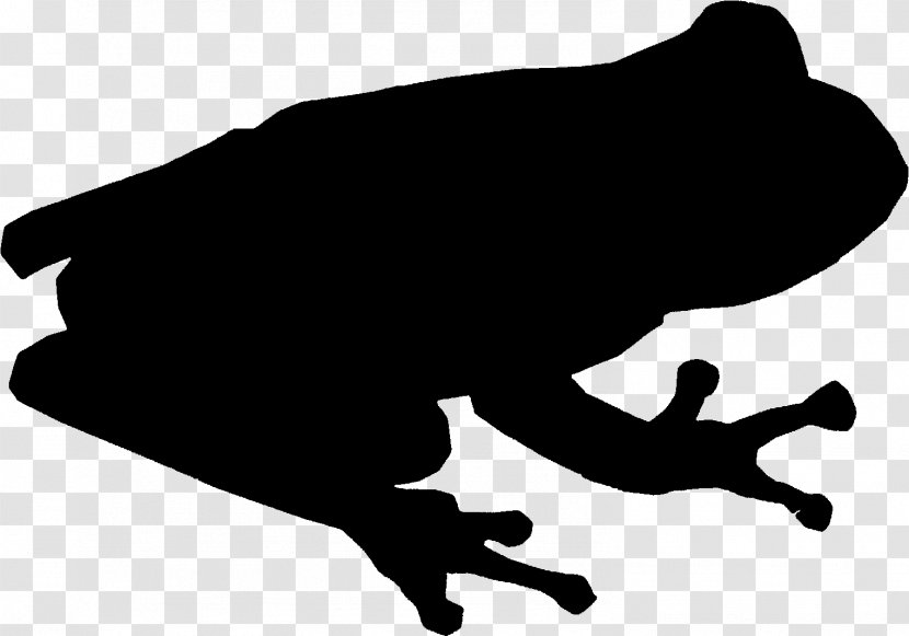 Clip Art Silhouette Carnivores Black M - Frog - White Transparent PNG
