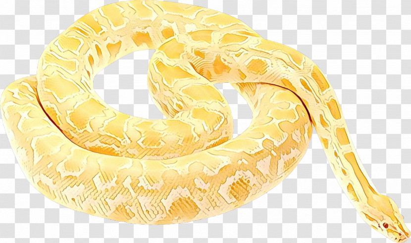 Python Python Family Burmese Python Yellow Snake Transparent PNG