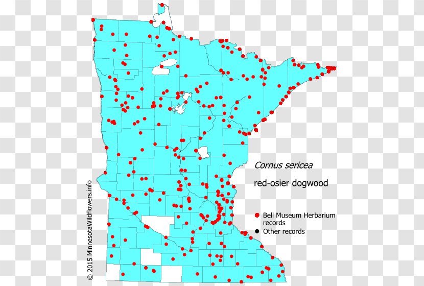 Minnesota Hemlock Reed Canary Grass Map Swamp Milkweed - Fleabane Transparent PNG