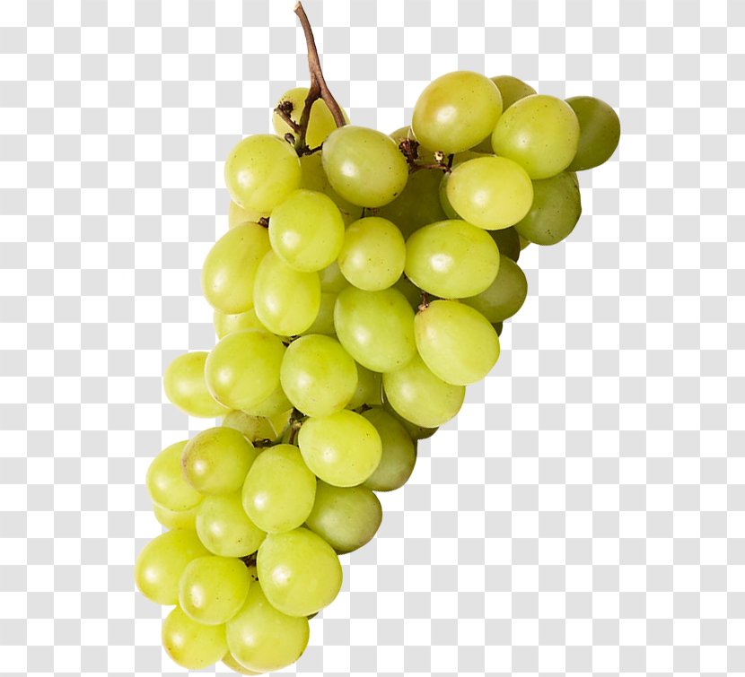 Sultana Wine Common Grape Vine Seedless Fruit Transparent PNG