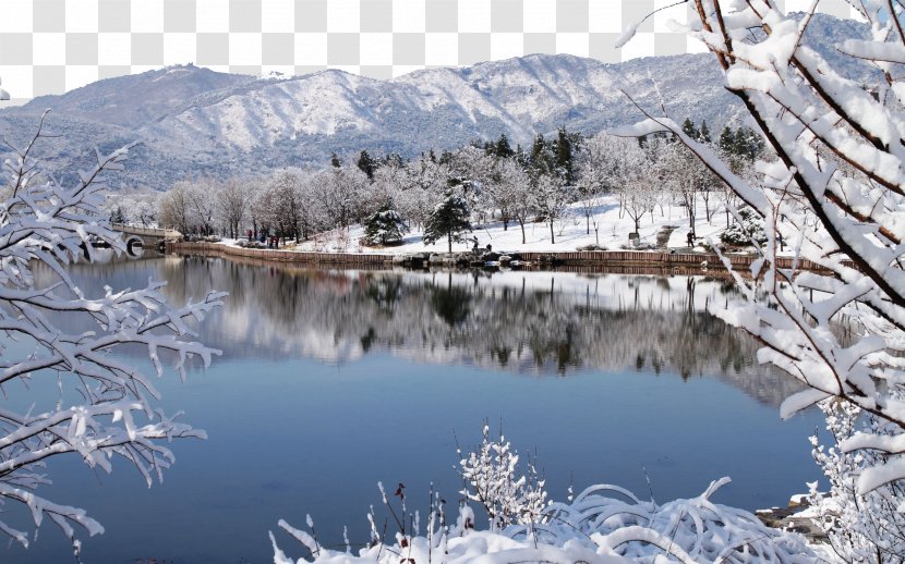 Winter Snow Wallpaper - Freezing - Beijing Botanical Garden Seven Transparent PNG