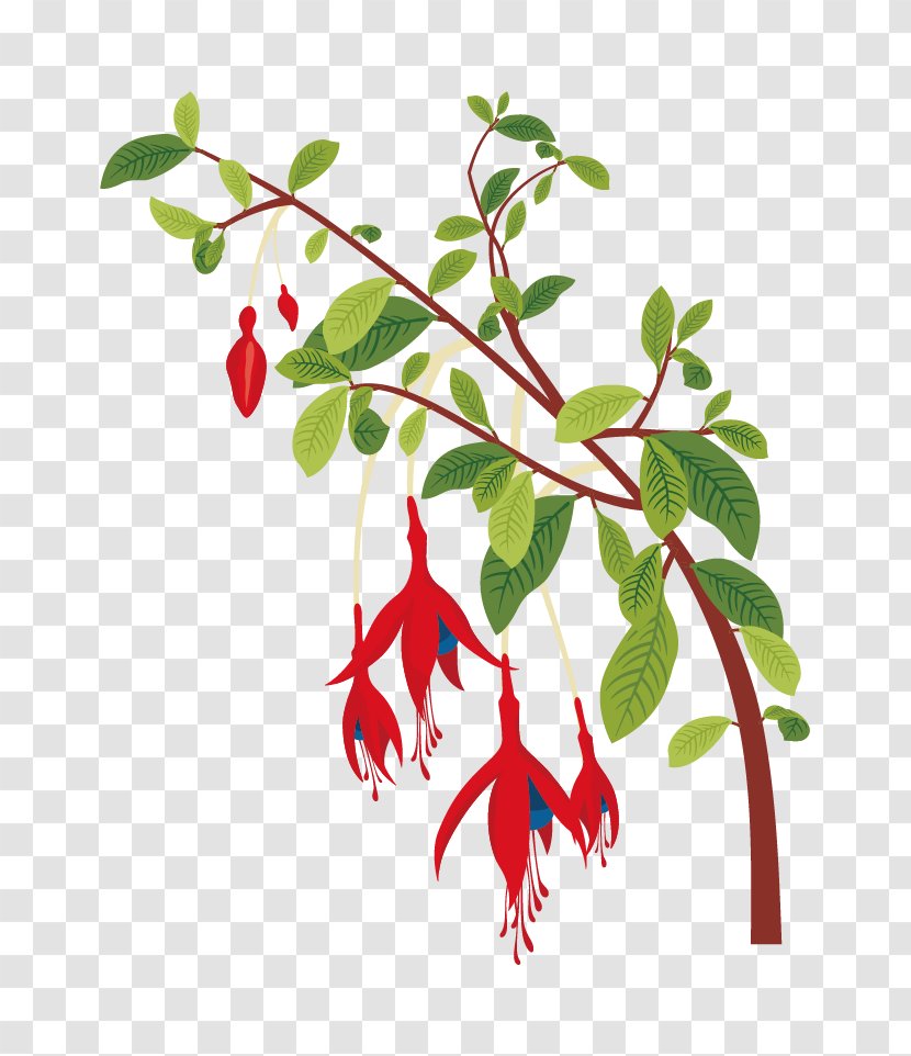 Flower Plant - Tree - Vector Red Floral Decorative Greenery Transparent PNG