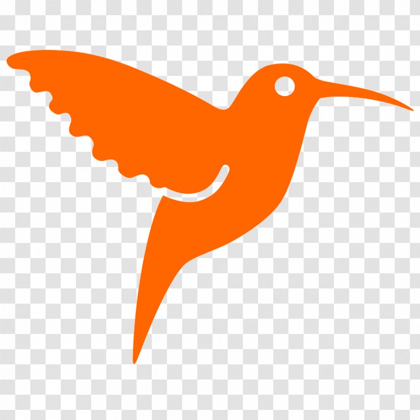 Hummingbird Abonent Orange S.A. Moldova Internet - Bird - Colibri Paint Transparent PNG