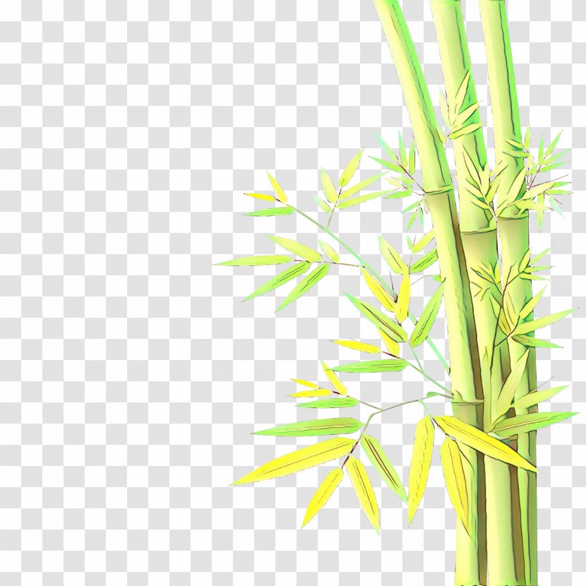 Green Plant Grass Leaf Stem - Cartoon - Bamboo Flower Transparent PNG