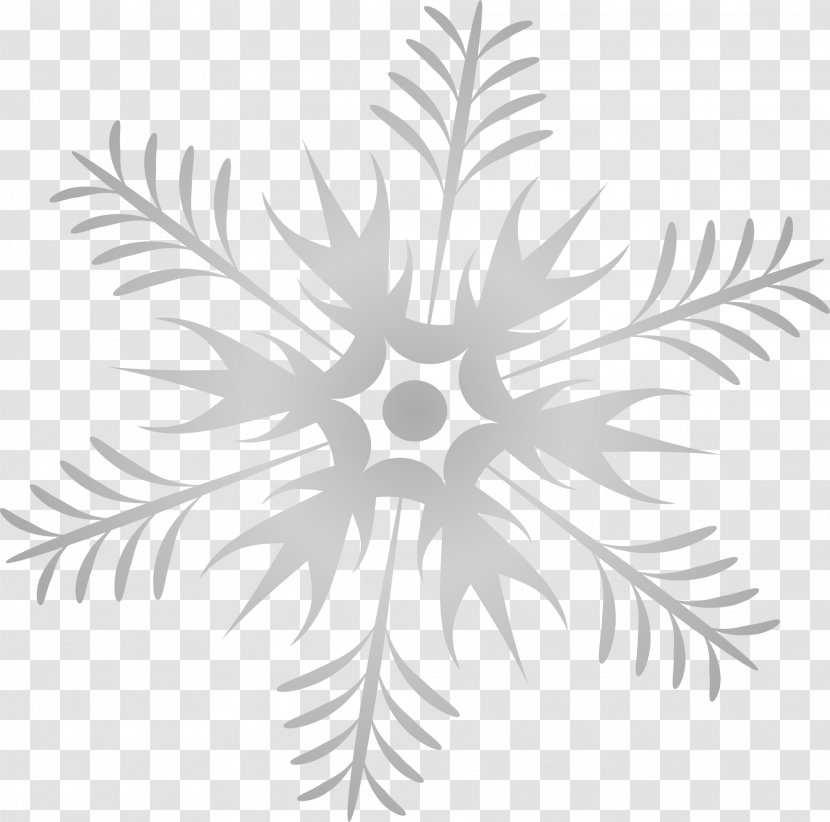 Grey Black And White Google Images Snowflake - Simple Transparent PNG
