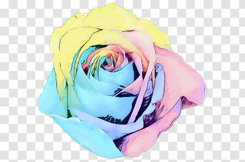 Rainbow Rose - Plant - Garden Roses Transparent PNG