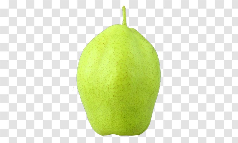 Pear Lime Auglis Green - An Early Transparent PNG