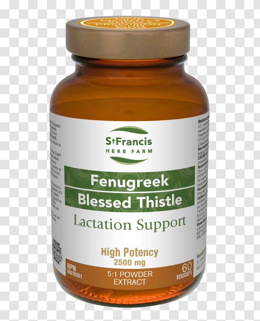 Dietary Supplement Herb Cnicus Food St. Francis Fenugreek/Blessed Thistle - Diet - Fenugreek Transparent PNG