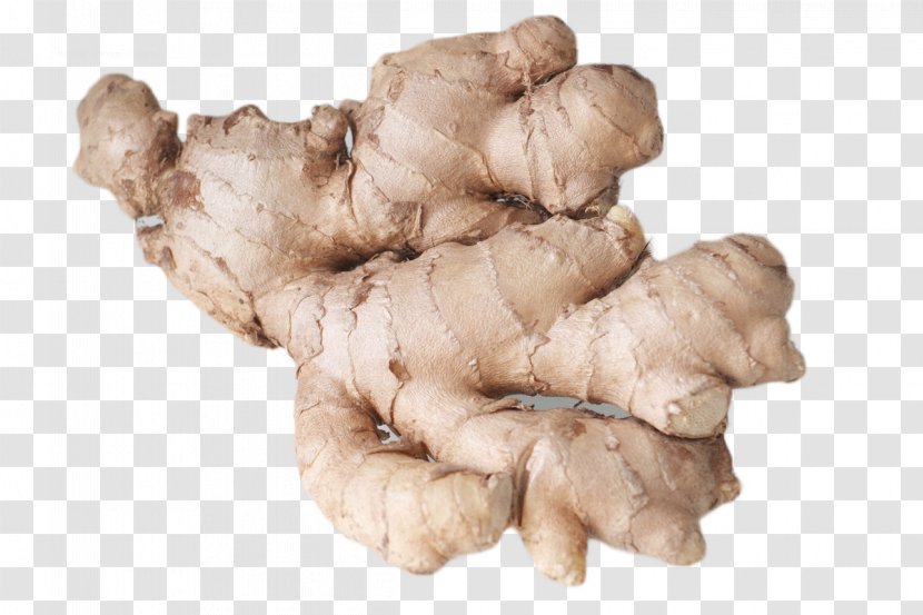 Ginger Eating Food Health Nausea - HD Closeup Of Transparent PNG