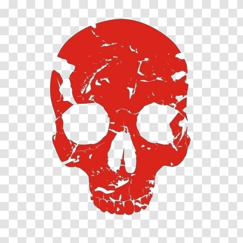 Red Skull Human Skeleton Bone - Jaw Transparent PNG