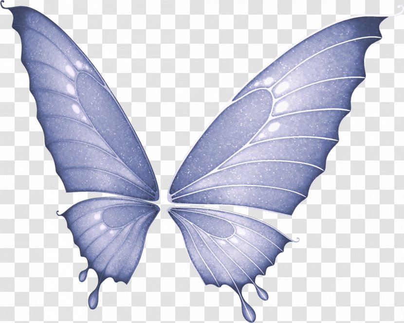 Butterfly Fairy Clip Art - Elf Transparent PNG