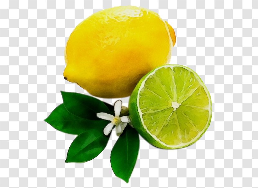 Lemon Background - Citrus - Grapefruit Pomelo Transparent PNG