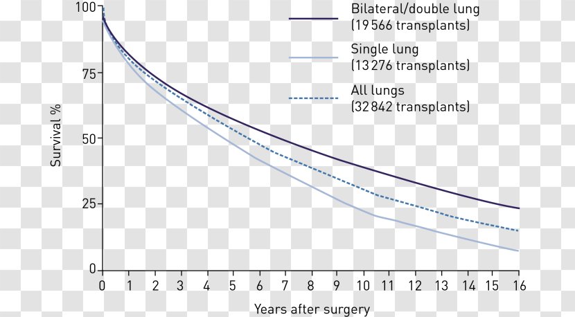 Document Line Angle - Text - Lungs Surgery Transparent PNG