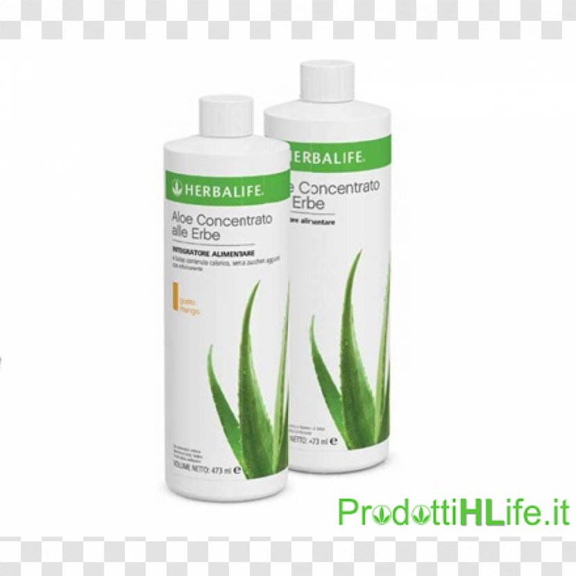 Herbalife Nutrition Aloe Vera Dietary Supplement Lotion Product - Aloes - HERBALIFE Transparent PNG