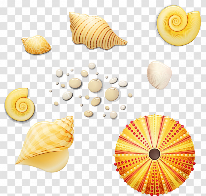 Seashell Seashell Journal Mollusca Icon Drawing Transparent PNG