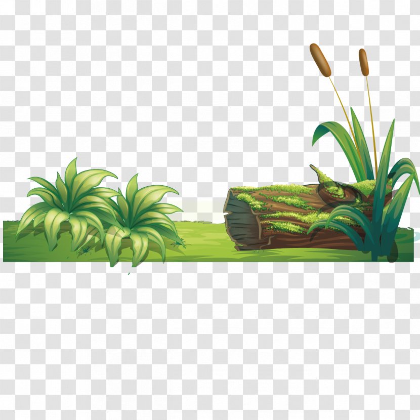 Vector Grass - Lawn - Meadow Transparent PNG