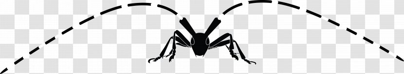 Process Mining Business Data Pattern - Black - Beetle Transparent PNG