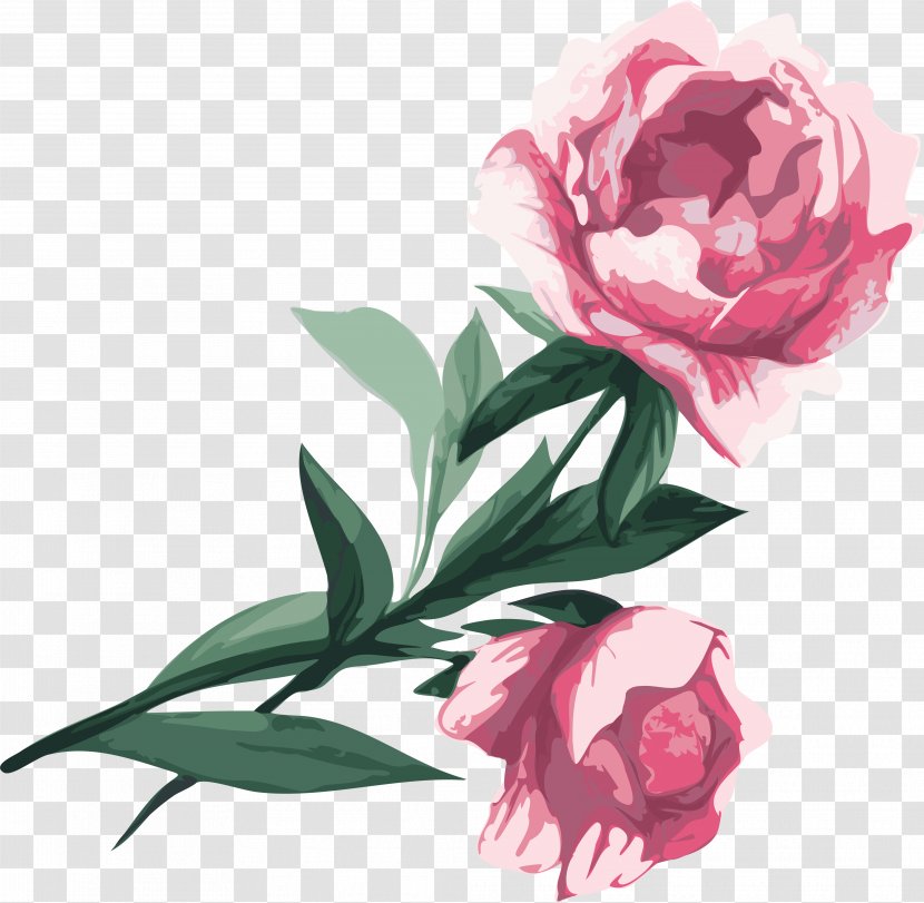 Flower Garden Roses Peony Clip Art - Plant Transparent PNG