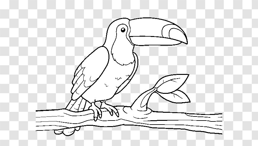 Vector Graphics Stock Photography Royalty-free Image Coloring Book - Wing - Tucan Outline Transparent PNG