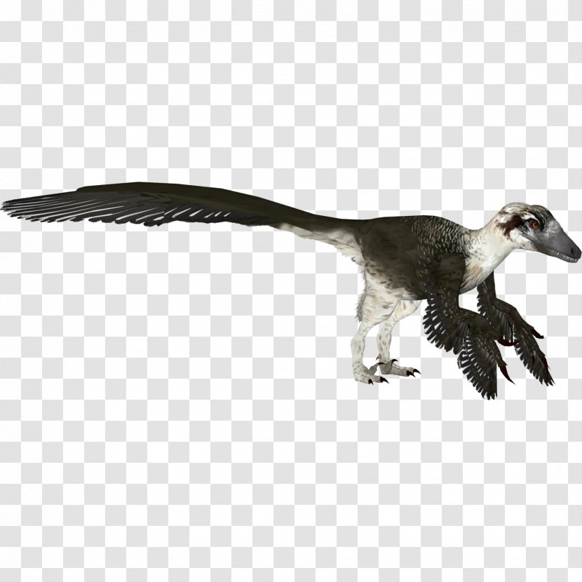 Zoo Tycoon 2 Velociraptor Dakotaraptor Utahraptor - Tail - Jurassic Park Transparent PNG