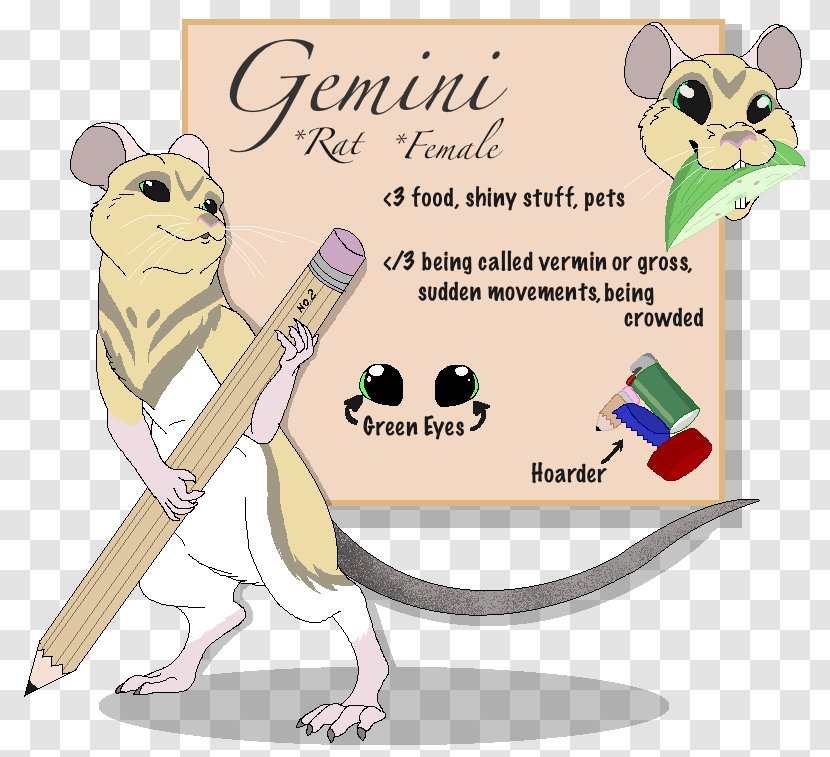 Mouse Rat Furry Fandom DeviantArt - Reference Box Transparent PNG