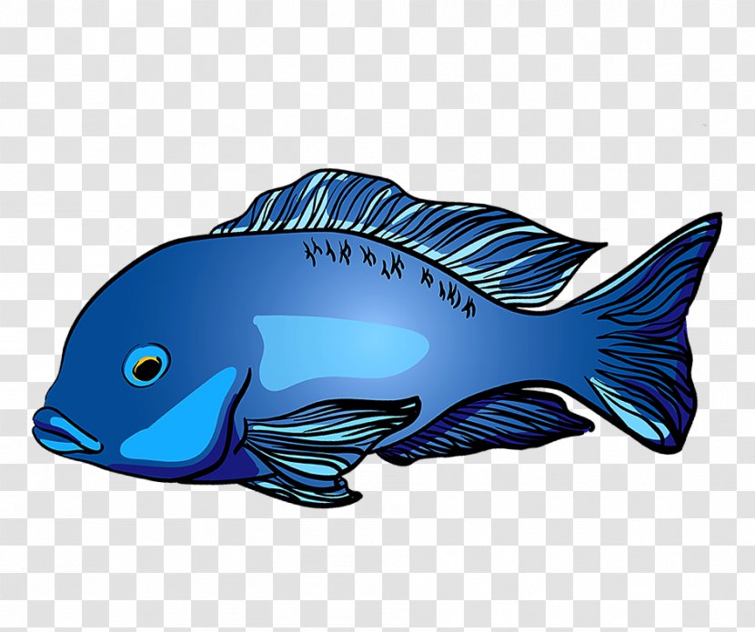 Fish Cartoon - That Place Pet - Products Bonyfish Transparent PNG