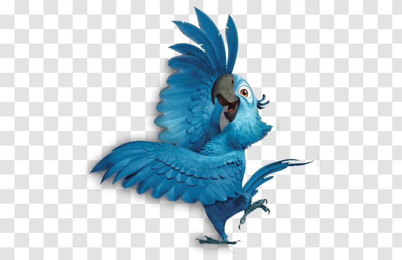 Blu Parrot Rio Spixs Macaw Clip Art Transparent PNG