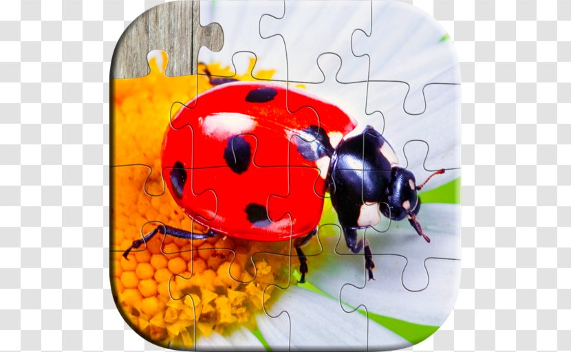 Android Lines & Puzzles - Ladybird - Five In Row Kids Balloon Pop Game FreeAndroid Transparent PNG