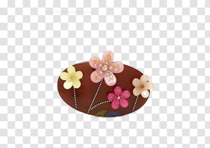 Barrette Fashion Accessory Hair Pin - Clothing Transparent PNG