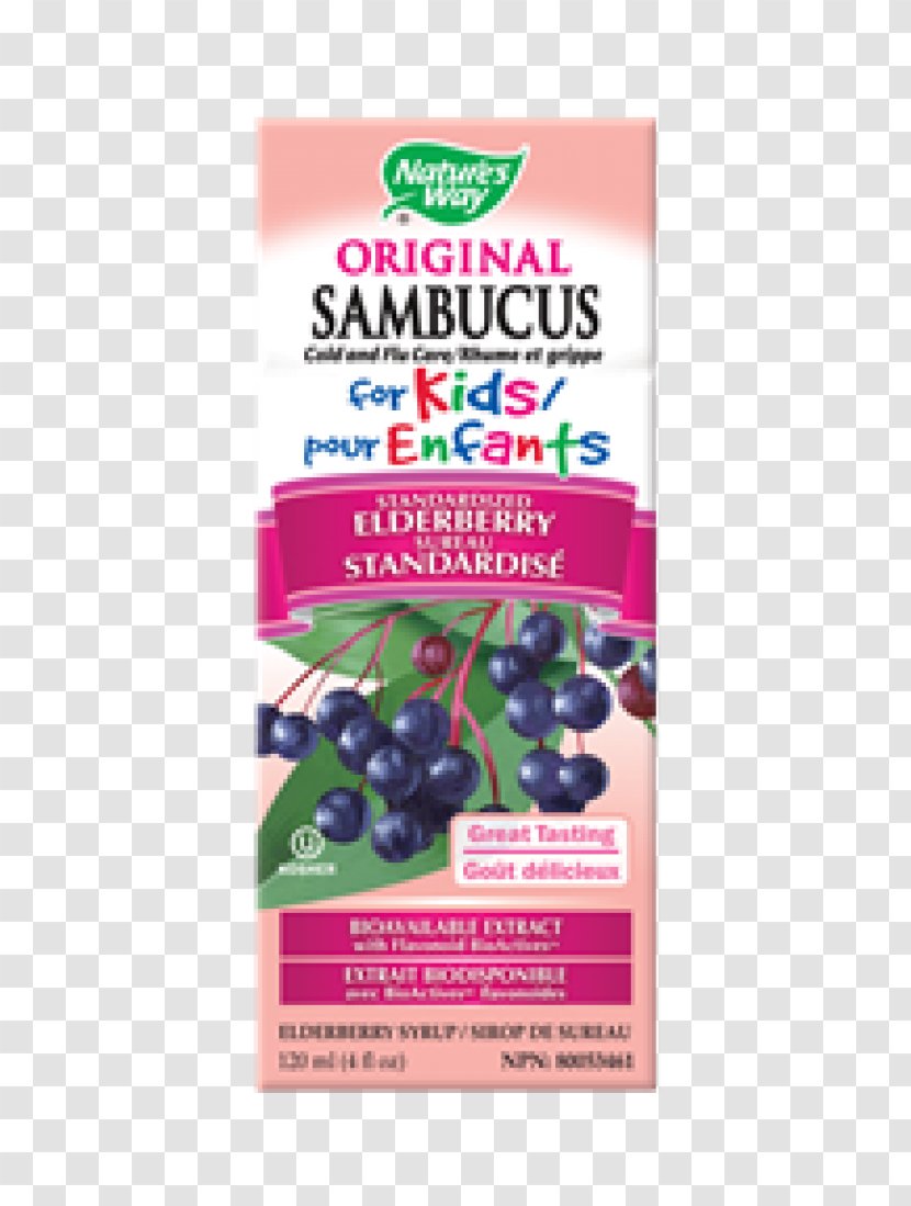 Elder Flavor Nature Ounce Extract - Advertising - Sambucus Transparent PNG