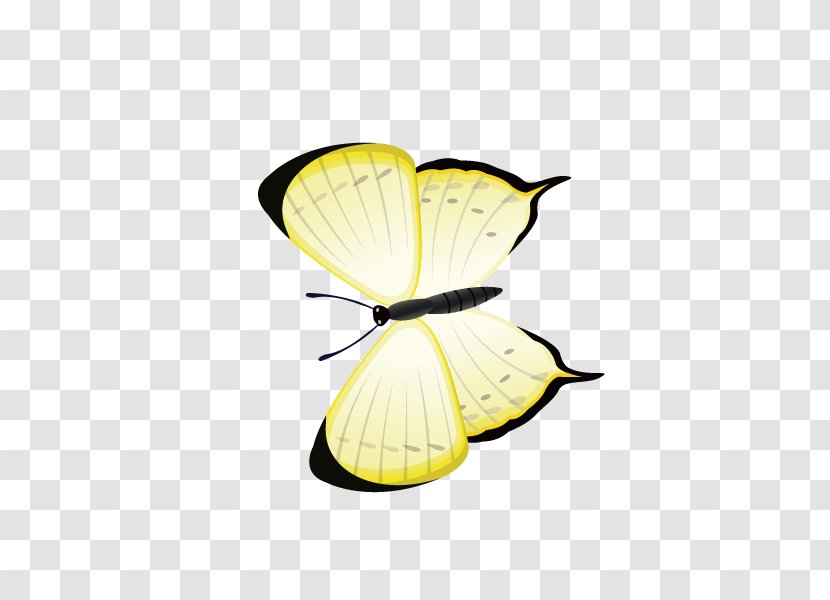 Butterfly Yellow Computer File - Pieridae - Butterfly,Yellow Transparent PNG