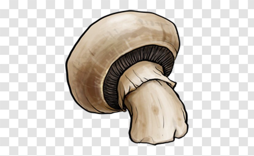 Mushroom - Common - Vegetable Transparent PNG