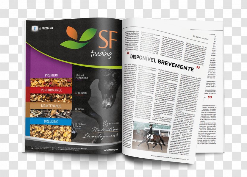 Horse Advertising Quality Nutrition Brochure - Photorealistic Transparent PNG