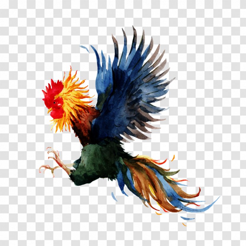 Chicken Gamecock Rooster Icon - Bird - 2017 Color Painted Cock Transparent PNG