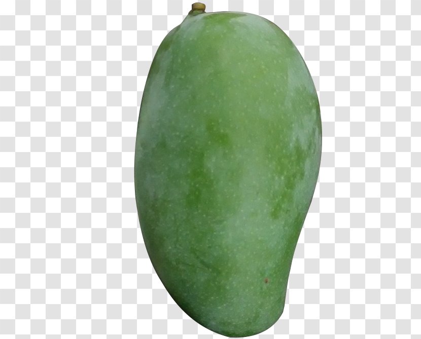 Wax Gourd Papaya - Winter Melon - Big Mango Transparent PNG