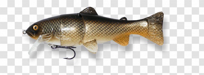Fishing Bait Perch Carp - Northern Pike Transparent PNG