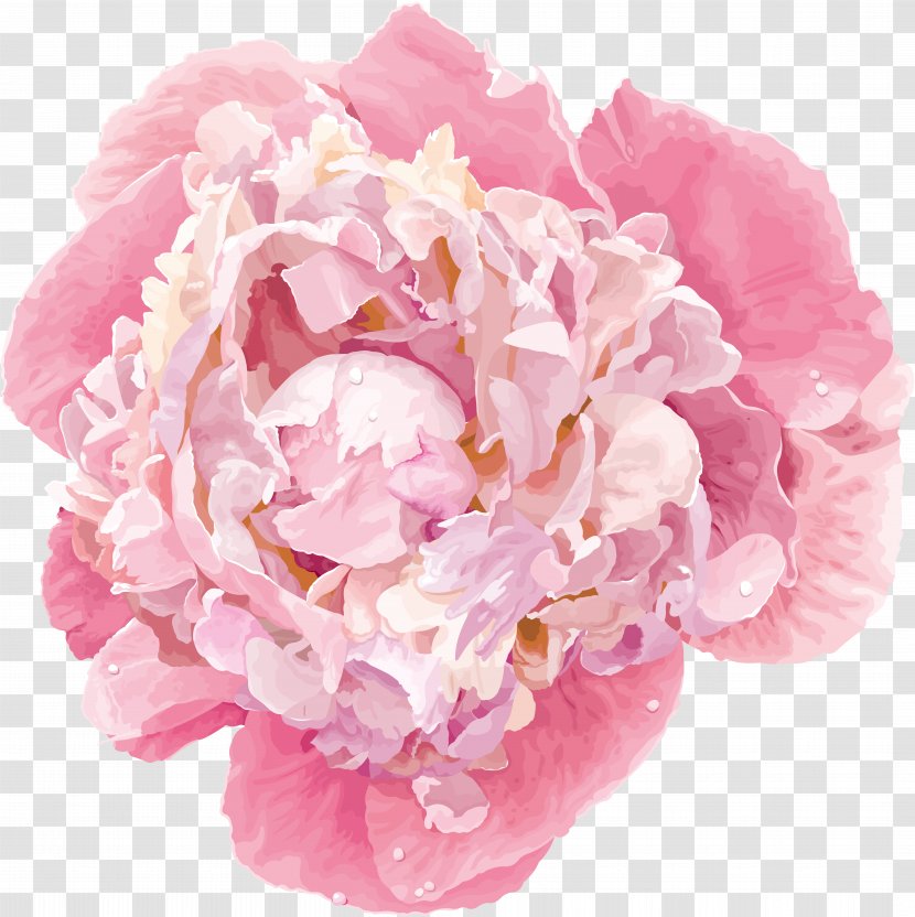 Chinese Peony Flower Vector Graphics Clip Art - Bouquet Transparent PNG