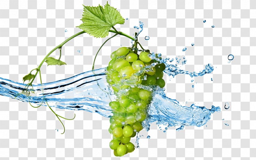 Grape Stock Photography Wine Desktop Wallpaper - Water Transparent PNG