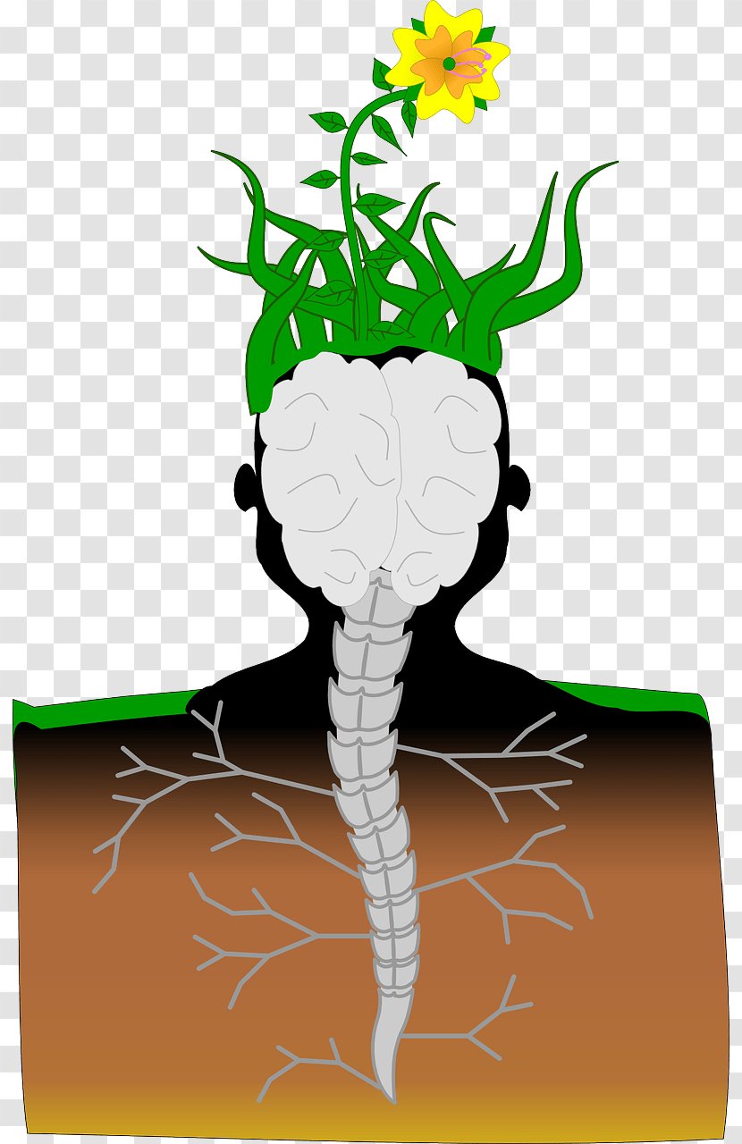 Brain Spinal Cord Plant Neuron Vertebral Column - Nervous System Transparent PNG