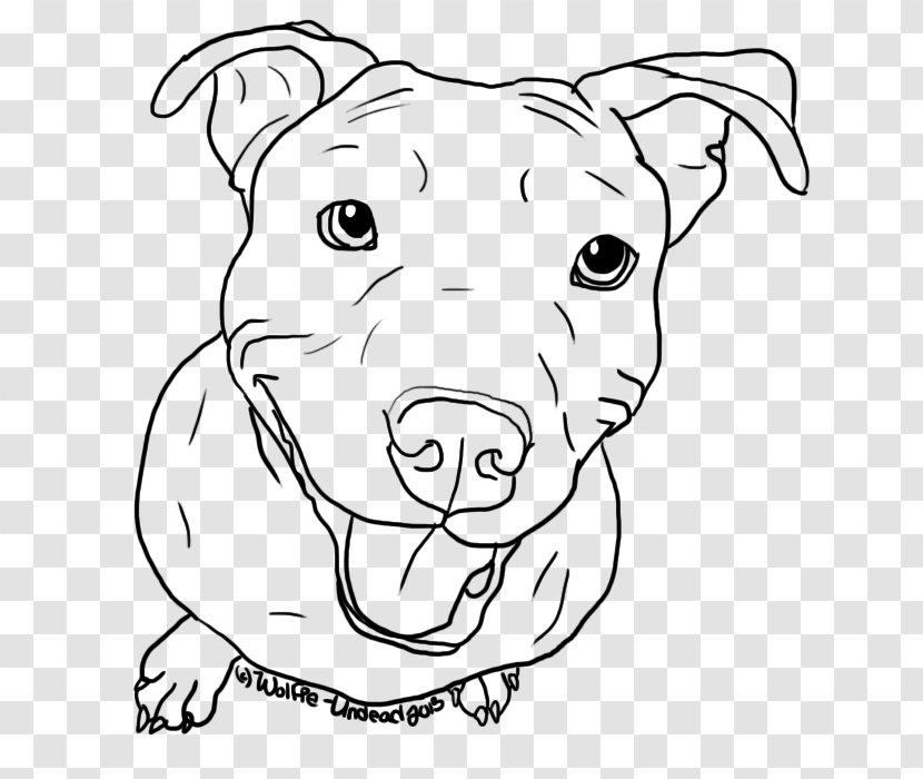 American Pit Bull Terrier Puppy Drawing Line Art - Coloring Book - Pitbull Transparent PNG