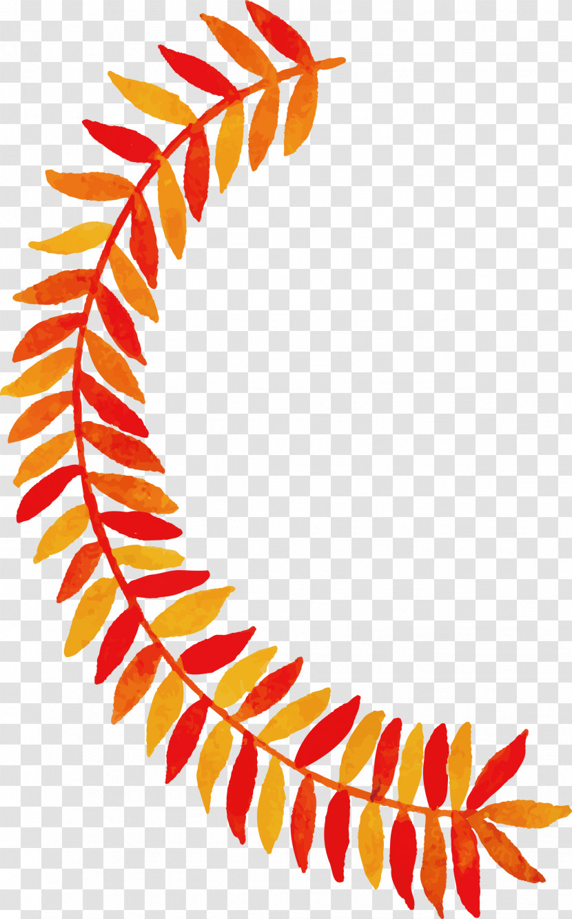 Autumn Leaf Colorful Leaf Transparent PNG