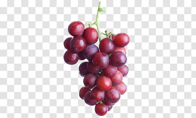 Sultana Zante Currant Common Grape Vine Seedless Fruit Egyptian Cuisine - Grapevines Transparent PNG