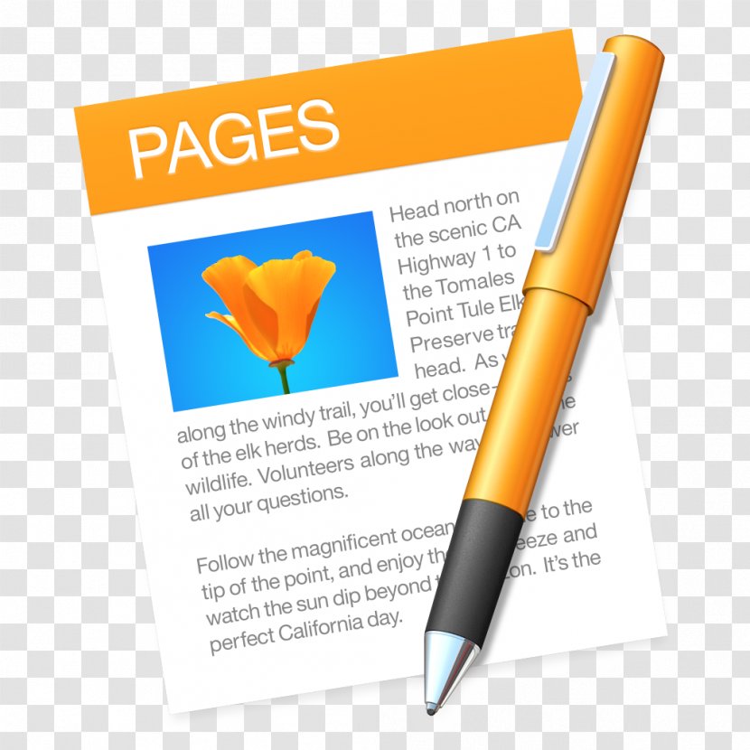 Pages Apple Symbol MacOS Logo - Computer Software Transparent PNG