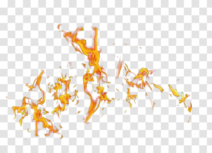 Orange - Yellow Transparent PNG