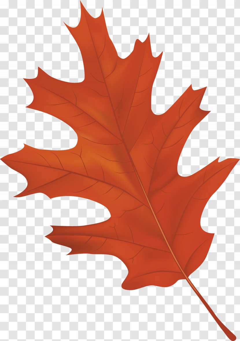 Autumn Leaf Color Clip Art - Brown Clipart Image Transparent PNG