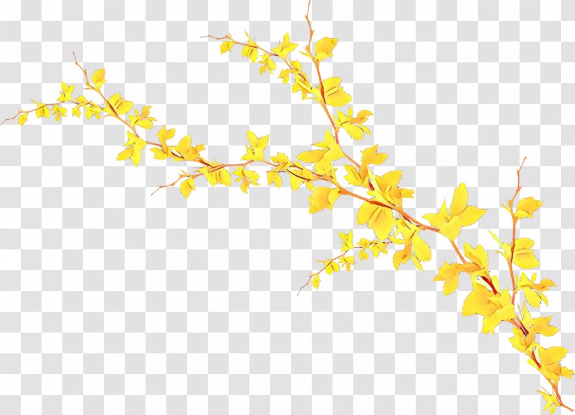 Watercolor Floral Background - Goldenrod - Pedicel Transparent PNG