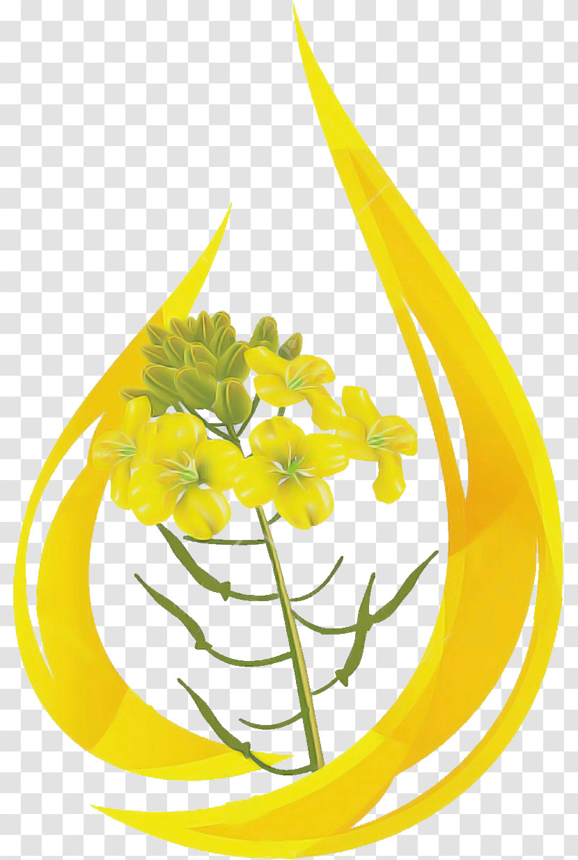 Yellow Flower Plant Cut Flowers Ylang-ylang Transparent PNG