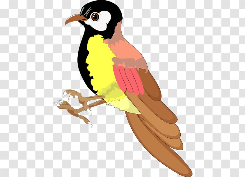 Beak Clip Art - California Quail - Q Version Of The Small Yellow Duck Transparent PNG