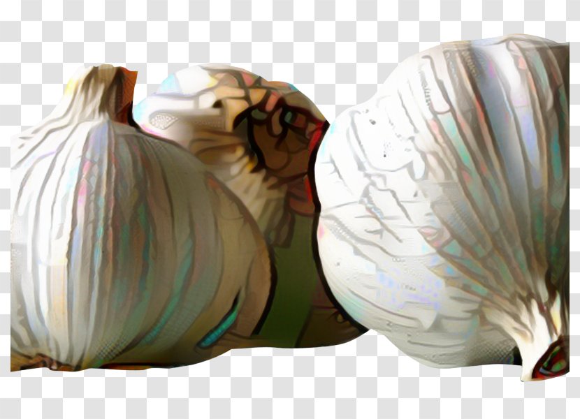 Onion Cartoon - Clove - Bin Bag Plant Transparent PNG
