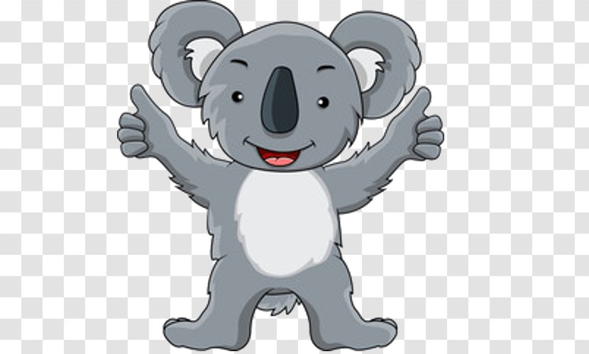 Koala Australia Drawing - Watercolor - Bear Transparent PNG